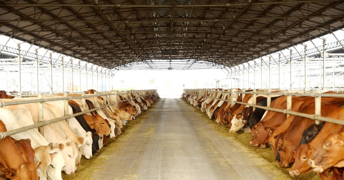 Nông nghiệp Hòa Phát nộp hồ sơ IPO, dự kiến niêm yết HOSE từ tháng 12/2025