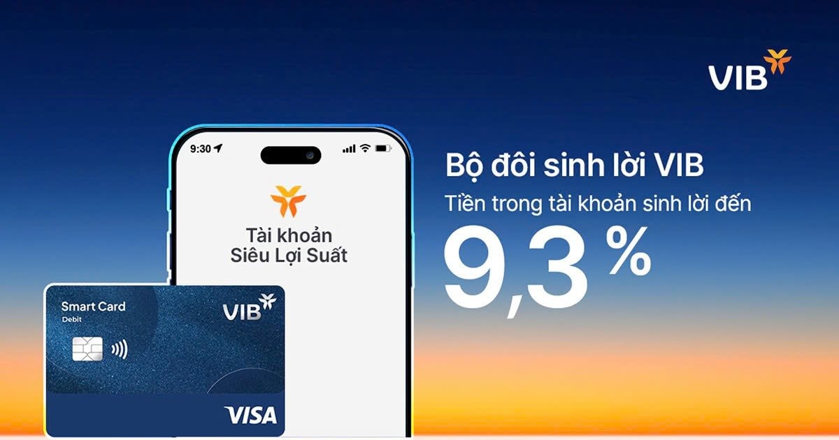 Bộ đôi sinh lời VIB – giải pháp tài chính tối ưu dòng tiền đến 9,3%