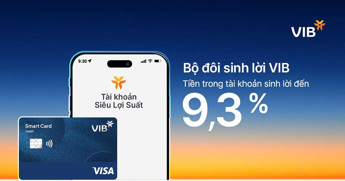 Bộ đôi sinh lời VIB – giải pháp tài chính tối ưu dòng tiền đến 9,3%