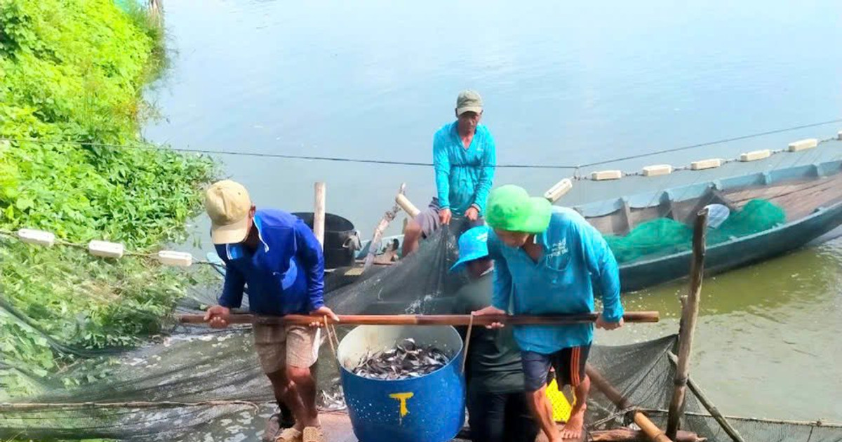 Ngân hàng Khu vực 13: Thúc đẩy cho vay lĩnh vực kinh tế tập thể