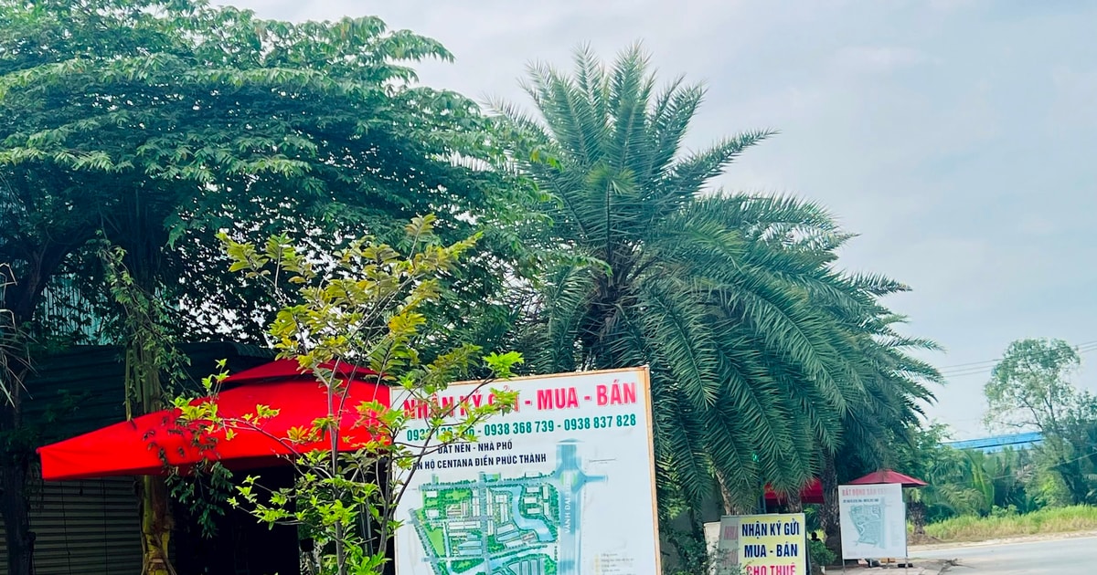 Bảng giá đất TP. Hồ Chí Minh theo tờ trình mới nhất