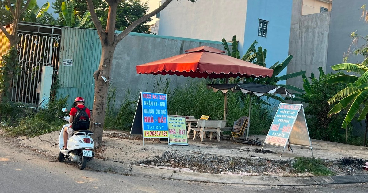 Chuyên gia nói gì về việc TP. Hồ Chí Minh dừng lập kế hoạch sử dụng đất 5 năm