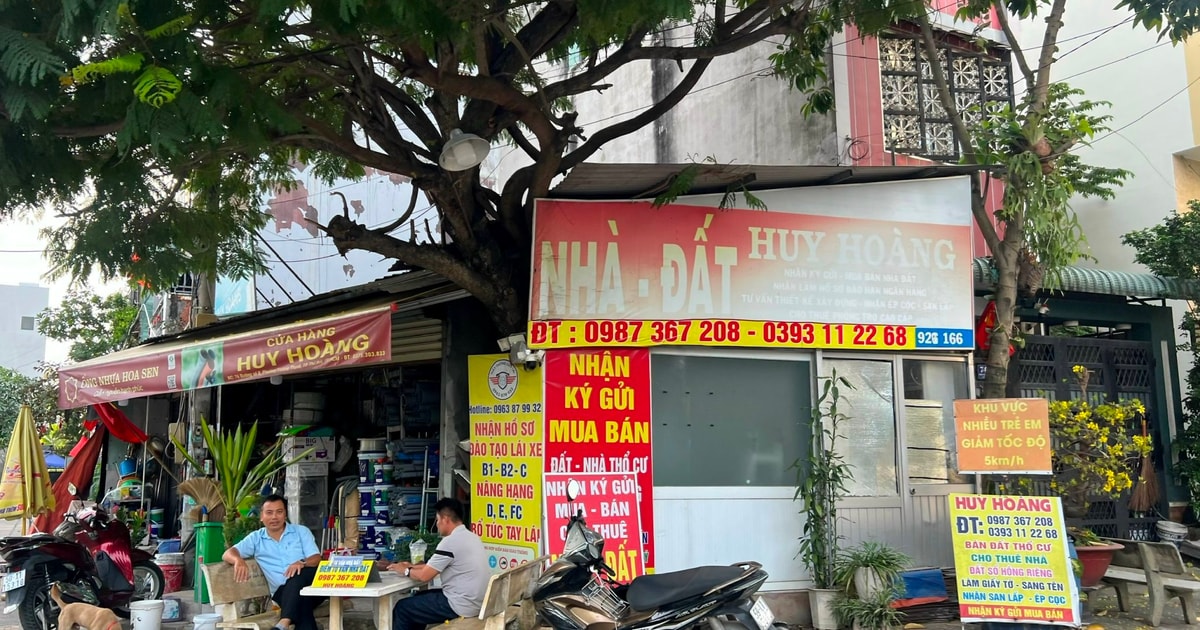 Khung cảnh thị trường bất động sản phía Nam sau Tết Nguyên đán