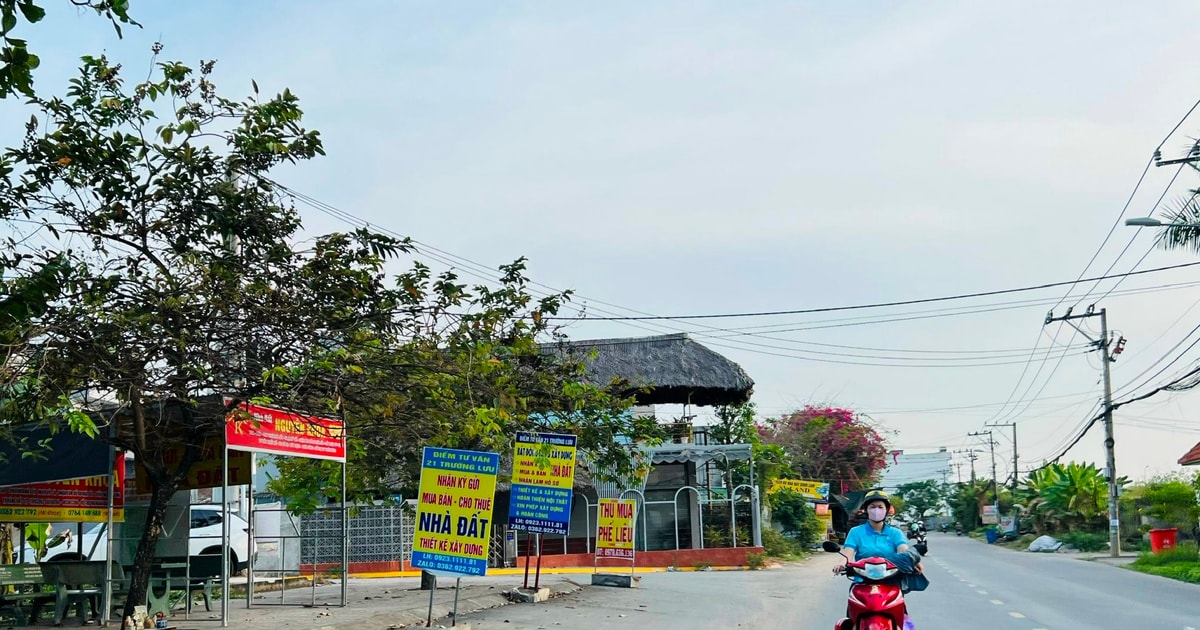 Đất nền vẫn được quan tâm