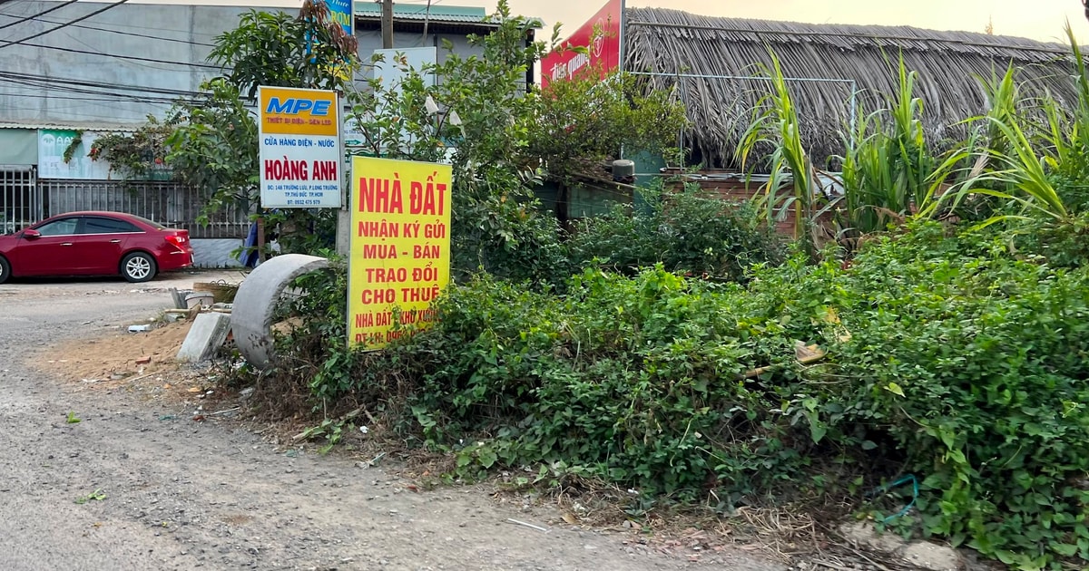 HoREA đề xuất hạ diện tích tách thửa tối thiểu tại một số khu vực thuộc TP. Hồ Chí Minh