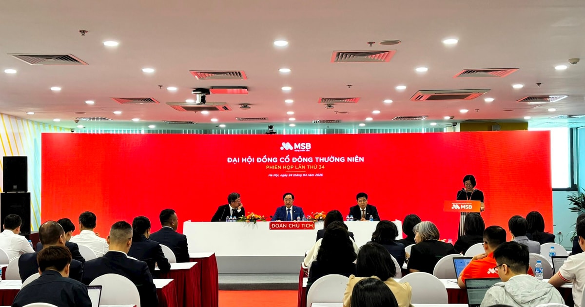 ĐHĐCĐ MSB: Mục tiêu lãi 8.000 tỷ đồng, kỳ vọng định giá TNEX Finance 1-2 tỷ USD trong 5-7 năm tới