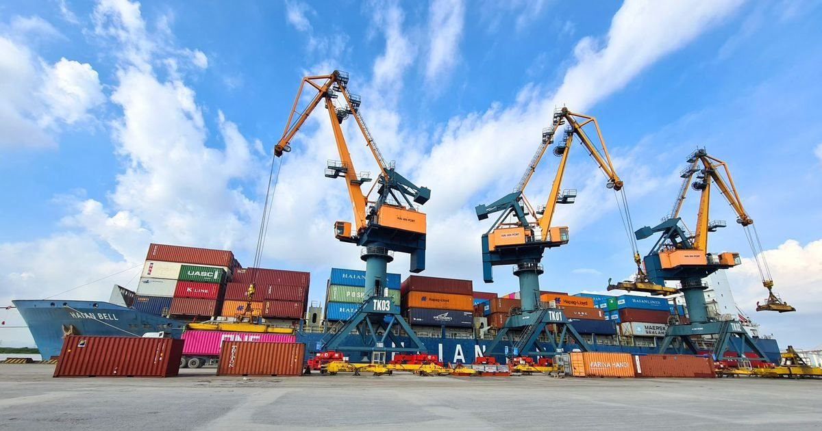Viconship muốn phát hành thêm gần 206 triệu cổ phiếu, nâng vốn vượt 5.800 tỷ đồng