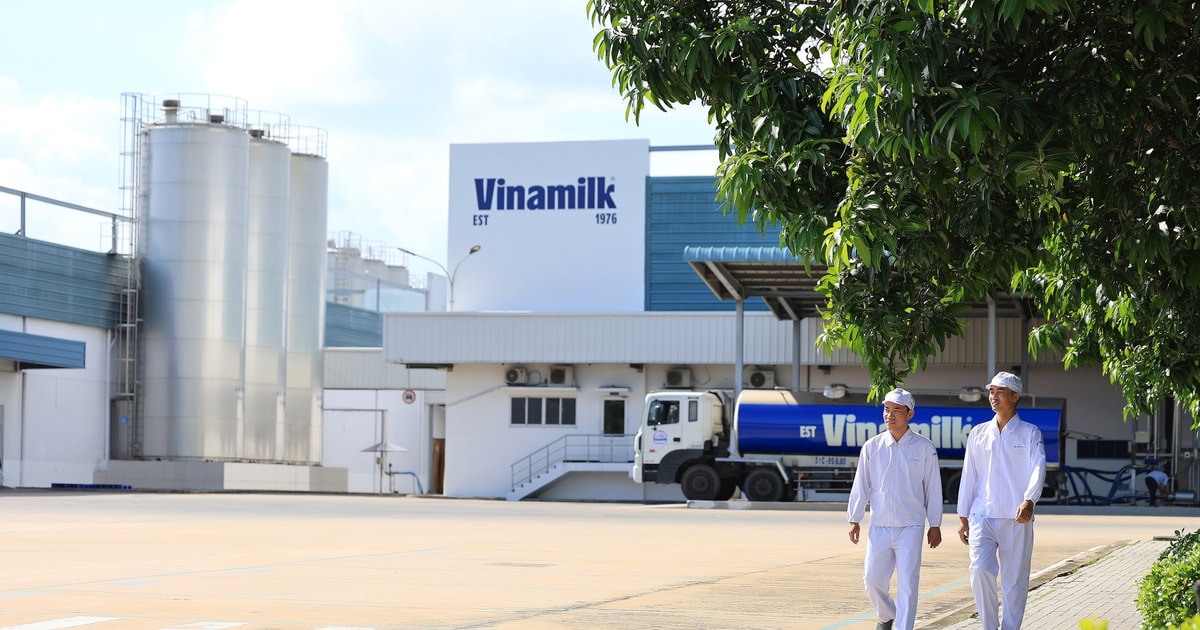 Vinamilk: 3 năm liên tiếp là doanh nghiệp sữa duy nhất của Việt Nam trong Fortune 500 Đông Nam Á