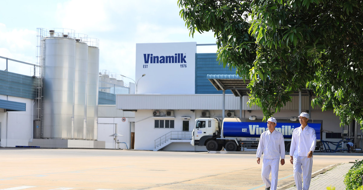 Vinamilk: 3 năm liên tiếp là doanh nghiệp sữa duy nhất của Việt Nam trong Fortune 500 Đông Nam Á