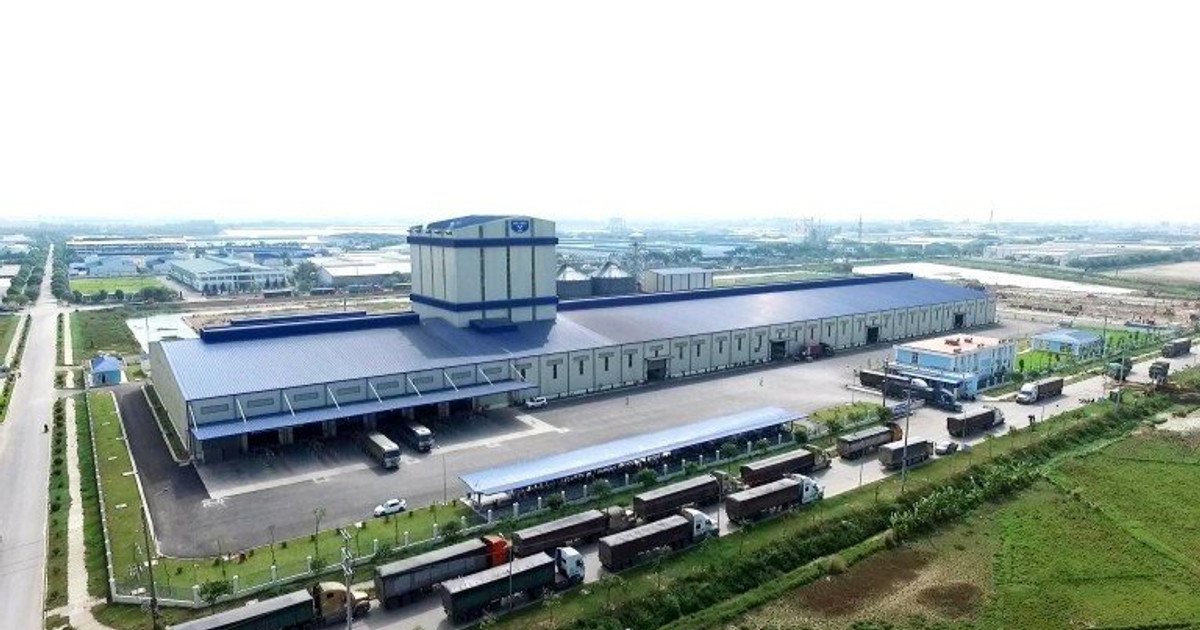 Nông nghiệp Hòa Phát bán hơn 212.000 con heo, gần 177.000 tấn thức ăn chăn nuôi nửa đầu năm 2026
