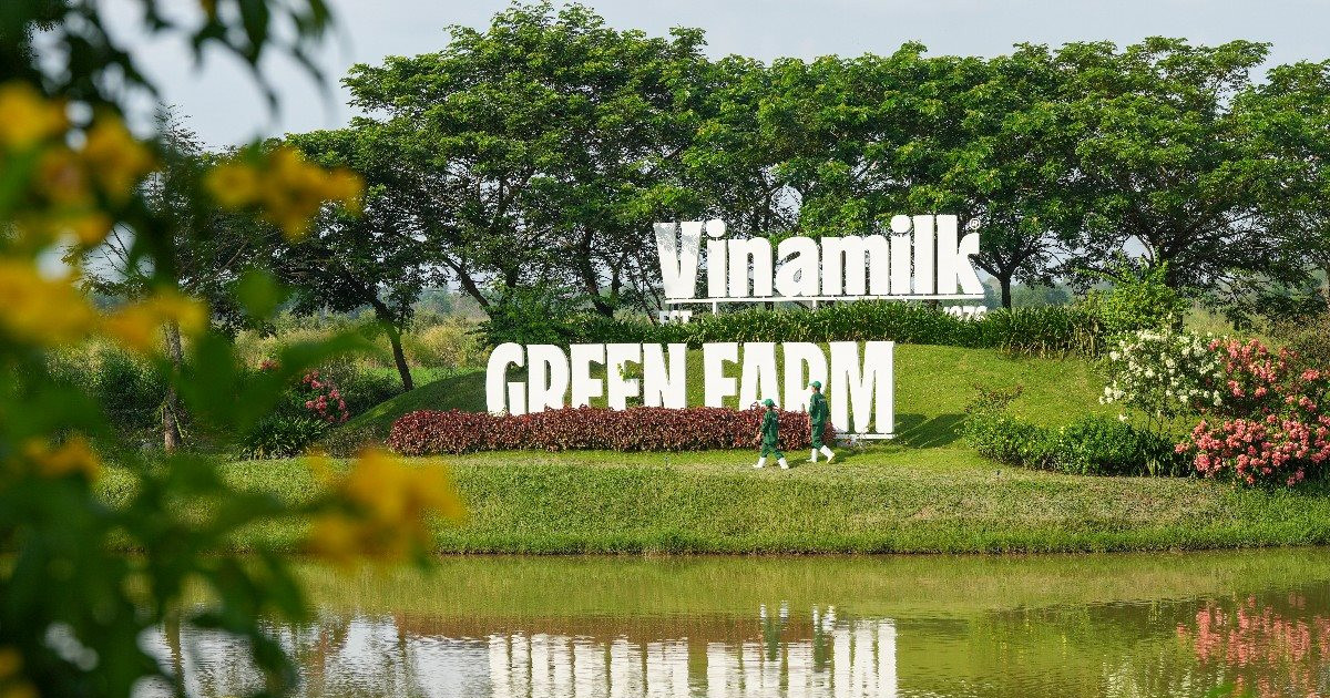 Vinamilk mang về nguồn thu lớn cho SCIC, giá trị đầu tư tăng 71 lần sau cổ phần hóa