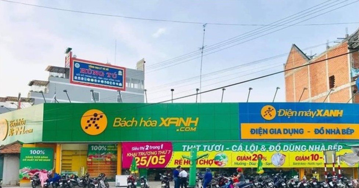 MWG thu gần 530 tỷ đồng mỗi ngày, tăng tốc mở mới cửa hàng Bách Hóa Xanh