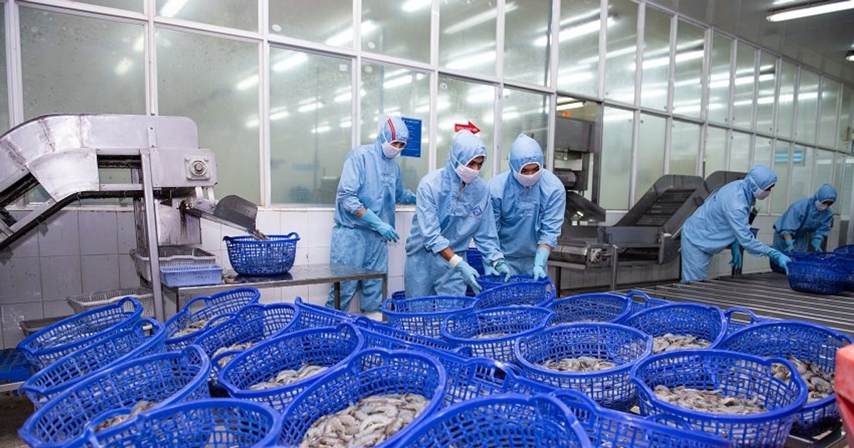 Xuất khẩu thủy sản chững lại, tôm chịu sức ép cạnh tranh lớn