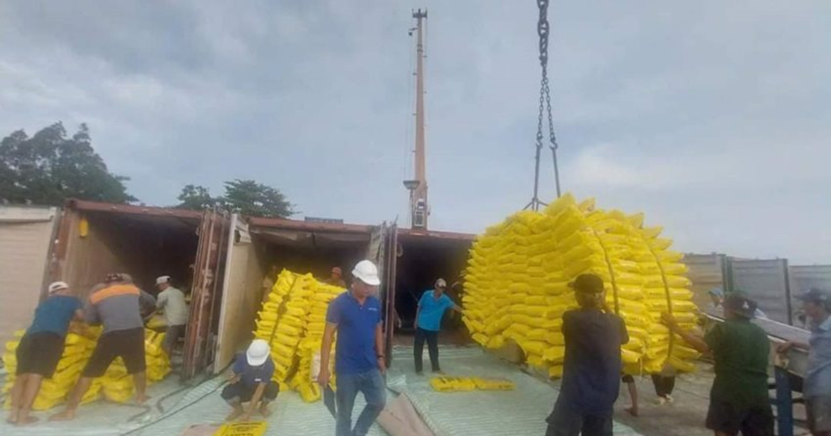 Doanh nghiệp xuất khẩu gạo cần chủ động trước biến động thị trường