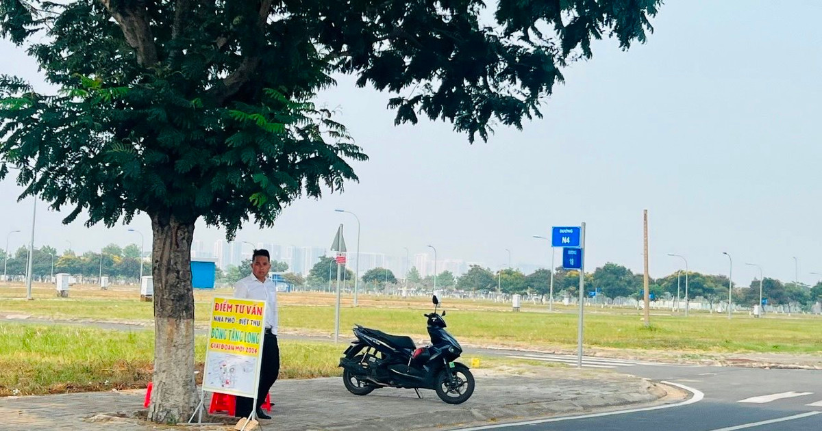 Thông tin mới nhất về điều kiện tách thửa cho các phường, xã tại TP. Hồ Chí Minh