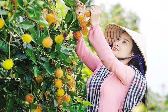 Chính sách tín dụng nhằm nâng cao sức cạnh tranh sản xuất nông nghiệp Việt Nam