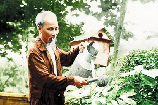 Tết về nhớ Bác