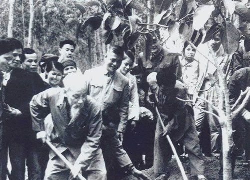 Nhớ lời kêu gọi “Tết trồng cây” của Bác Hồ