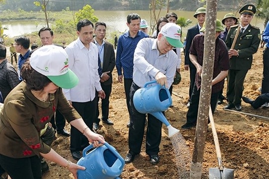 Vietcombank đồng hành cùng chương trình “Vì một Việt Nam xanh”