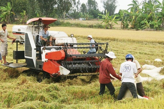 Cho vay thu mua thóc, gạo vụ Đông Xuân năm 2019