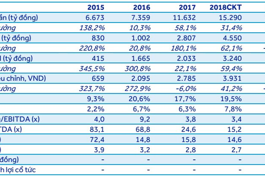 Novaland: Ước tính lợi nhuận năm 2019 đi ngang do các dự án bị hoãn