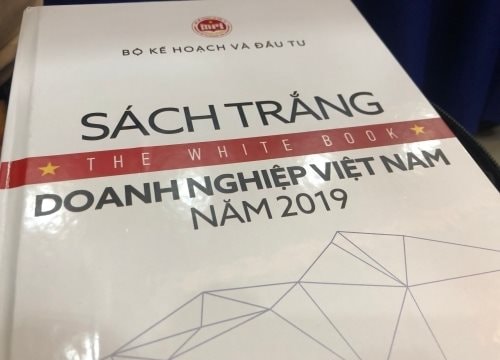 Công bố Sách Trắng doanh nghiệp Việt Nam