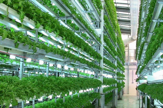 Khuyến khích, thúc đẩy doanh nghiệp đầu tư vào nông nghiệp: Tăng cường kết nối ngân hàng - doanh nghiệp