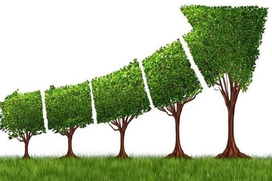 Đánh giá Chiến lược tăng trưởng xanh