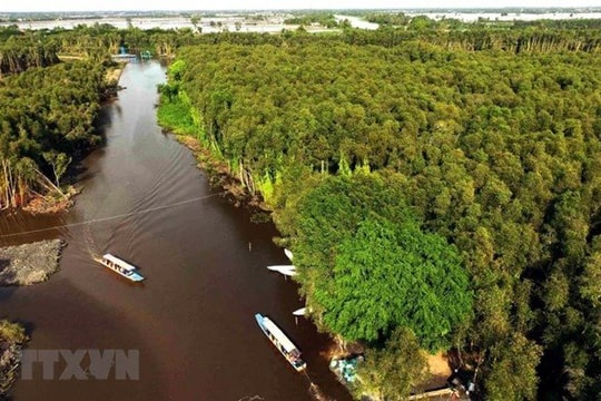Chỉ thị đẩy mạnh phát triển bền vững ĐBSCL thích ứng với biến đổi khí hậu