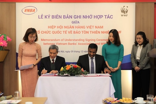 VNBA và WWF hợp tác phát triển ngân hàng bền vững