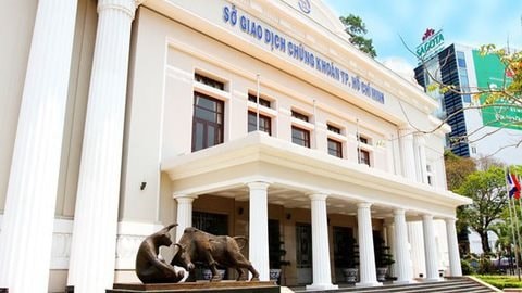 Nhìn lại những nét nổi bật tại HOSE năm 2019