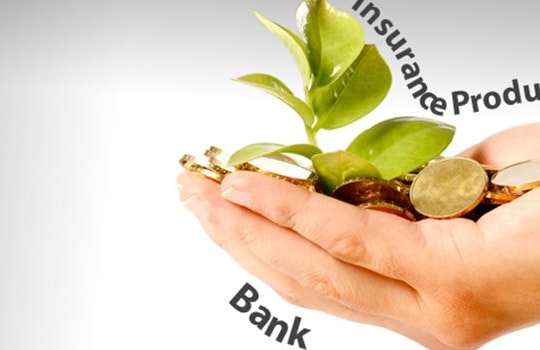 Thông tư hướng dẫn hoạt động đại lý bảo hiểm của tổ chức tín dụng, chi nhánh ngân hàng nước ngoài cho doanh nghiệp bảo hiểm