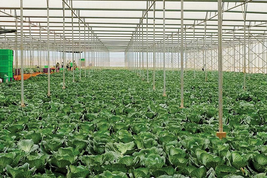 Cần đảm bảo tính bền vững và chất lượng tăng trưởng (*)