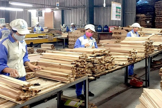 Việt Nam mang đến cơ hội đầu tư hơn 45 tỷ USD vào phát triển bền vững cho khu vực tư nhân