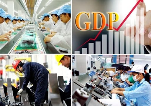 Tổ chức Tổng điều tra kinh tế năm 2021