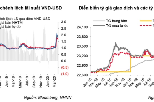Ngân hàng Nhà nước có đủ tiềm lực và kinh nghiệm để ổn định tỷ giá