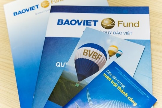 Quỹ BVBF dẫn đầu các quỹ mở nội địa trong quý I/2020