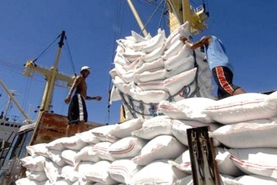  Tạm ứng hạn ngạch 100.000 tấn cho DN có gạo đưa vào cảng trước 24/3 nhưng chưa đăng ký tờ khai