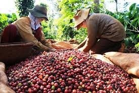 15 mặt hàng đạt kim ngạch xuất khẩu trên 1 tỷ USD trong 4 tháng đầu năm 2020