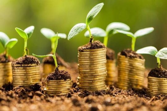 51% ngân hàng ASEAN chưa hoàn thành thậm chí ¼ tiêu chí ESG