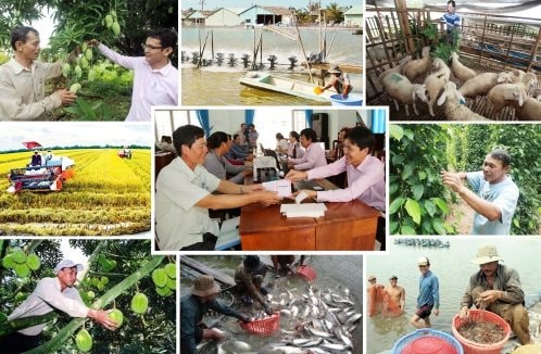 Kiện toàn Ban chỉ đạo Trung ương về giảm nghèo bền vững