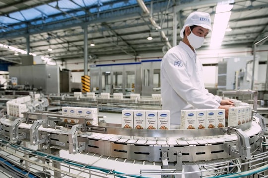 Vinamilk được cấp phép xuất khẩu sữa vào Nga và các nước khối Liên minh kinh tế Á-Âu