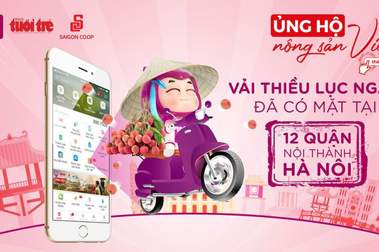 Đã có thể mua vải thiều qua Ví MoMo tại Hà Nội