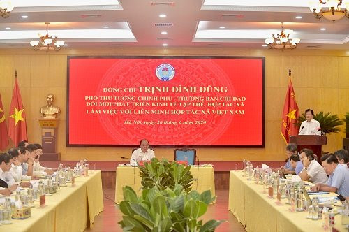 Kinh tế tập thể, hợp tác xã có những đổi mới hết sức quan trọng