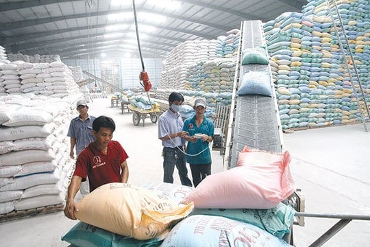 Thành lập Hội đồng thẩm định nhiệm vụ lập Quy hoạch hệ thống kho dự trữ quốc gia