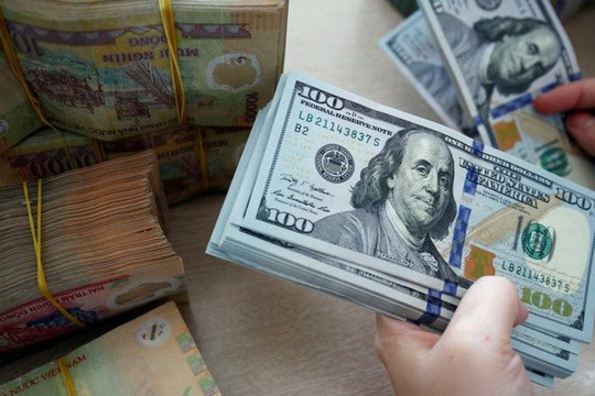 Cấm sử dụng viện trợ để rửa tiền, trốn thuế