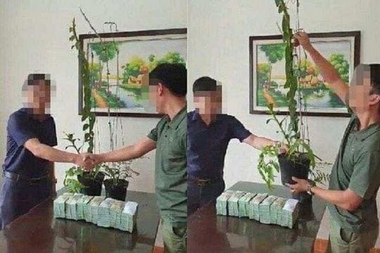 Công an cảnh báo nguy cơ thổi giá, rửa tiền từ “hoa lan tiền tỉ”
