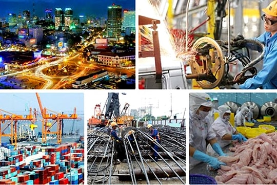 Cập nhật tác động của đại dịch COVID-19 đối với các ngành kinh tế Việt Nam