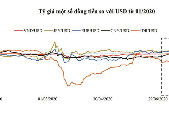 BVSC: VND đang neo tương đối ổn định đối với đồng USD
