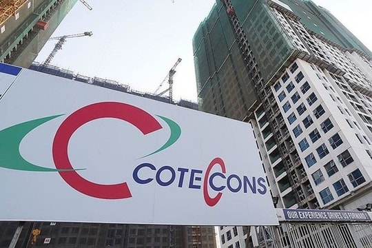 Coteccons bị xử phạt và truy thu thuế 